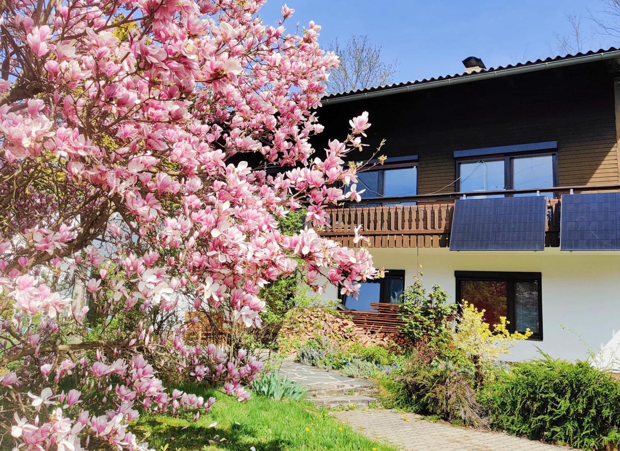 Wellness Apartment Keutschach Lakes Valley Keutschach am See Exterior foto